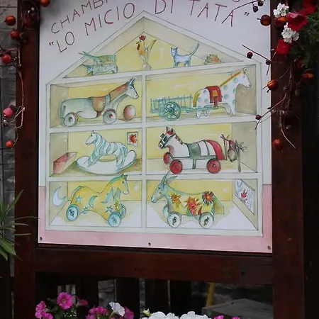 Lo Micio Di Tata