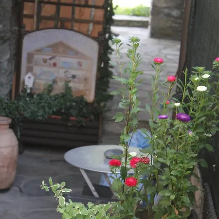 Lo Micio Di Tata Guest house 3*